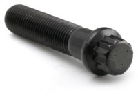 5/16-18X1 12 Point Ferry Bolt