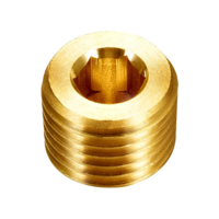 3/4 HEX SOCKET PLUG BRASS