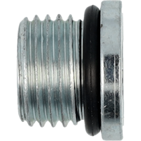 STRAIGHTTHREADO-RINGHEXSOCKETP