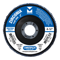 TYPE 29 40 GRIT FLAP DISC