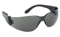 NSX SHADED PROTECTIVE GLASSES