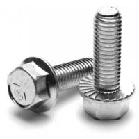 1/4-20X2-1/4 ARP 12-Point Stainless